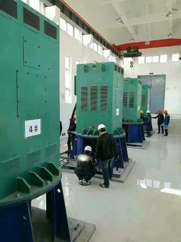 宁国某污水处理厂使用我厂的立式高压电机安装现场